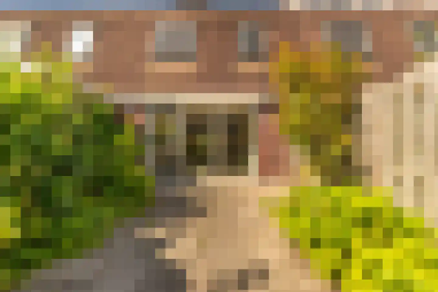 Caro van Eycktuin 14 Heerhugowaard thumbnail 30