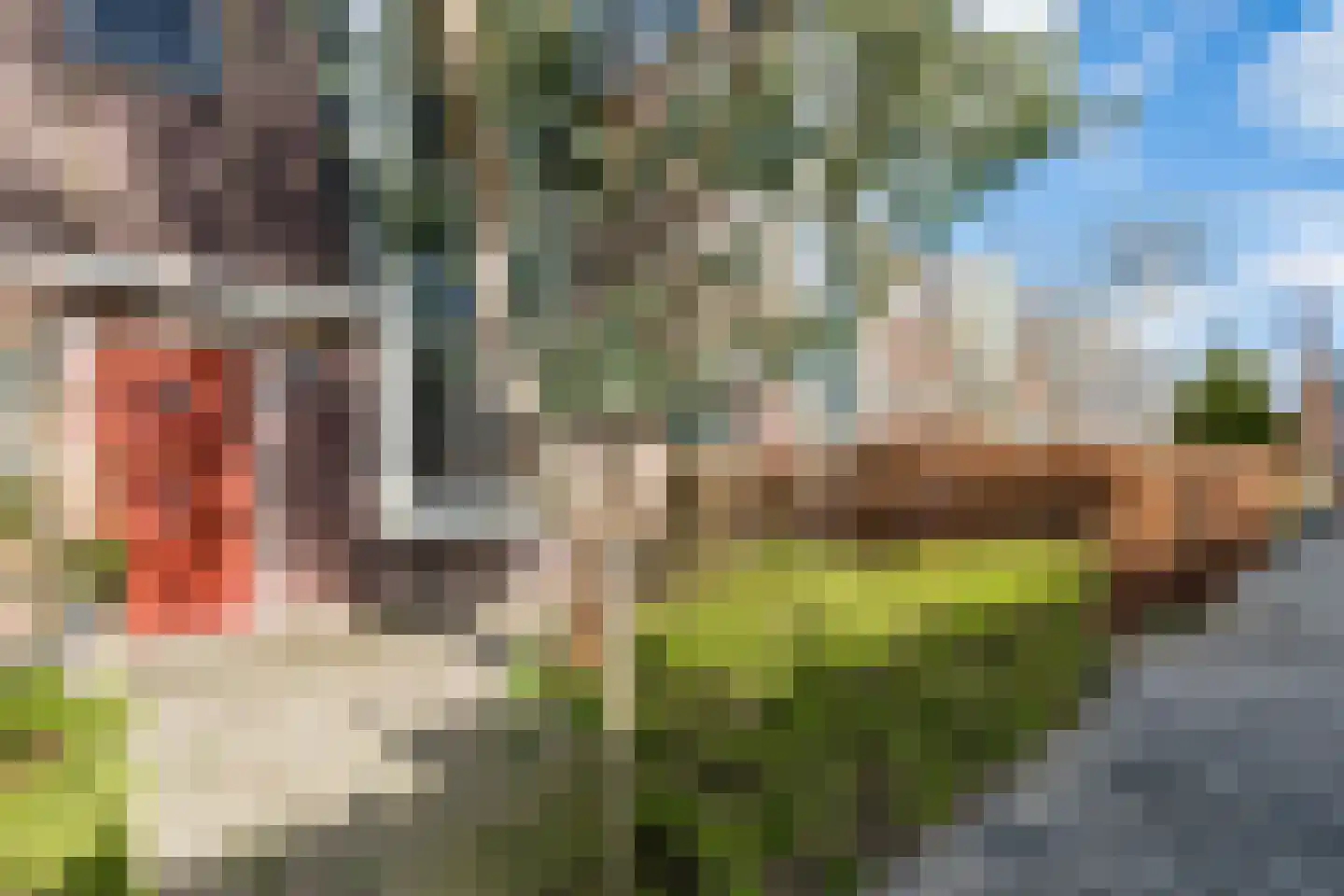 Caro van Eycktuin 14 Heerhugowaard thumbnail 46
