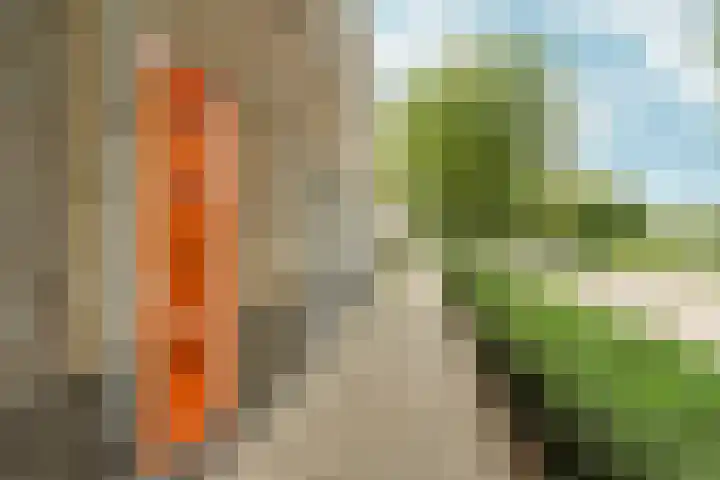 Carol Vogesgracht 11 Almere thumbnail 10