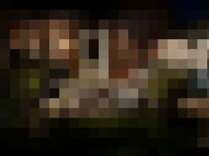 Carol Vogesgracht 11 Almere thumbnail 71