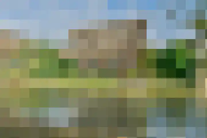 Carole 3 in Nieuw-Vennep