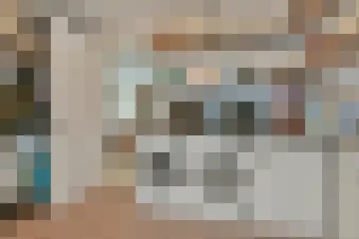 Carole 3 Nieuw-Vennep thumbnail 18