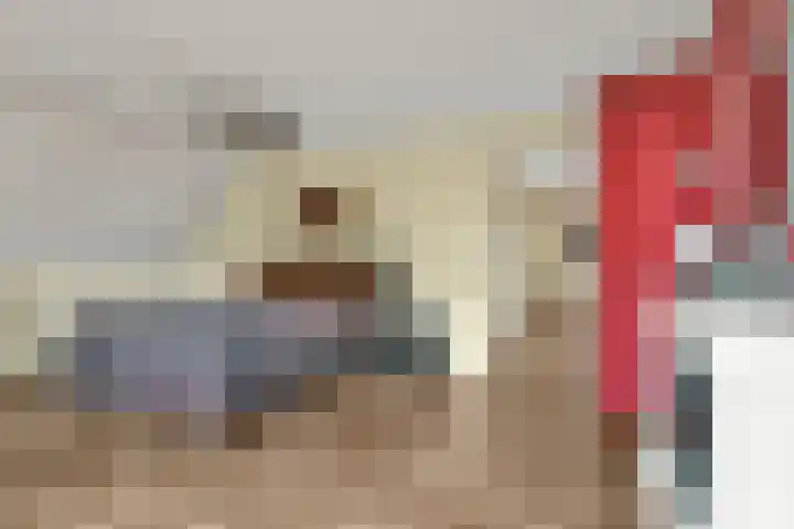 Carole 3 Nieuw-Vennep thumbnail 23