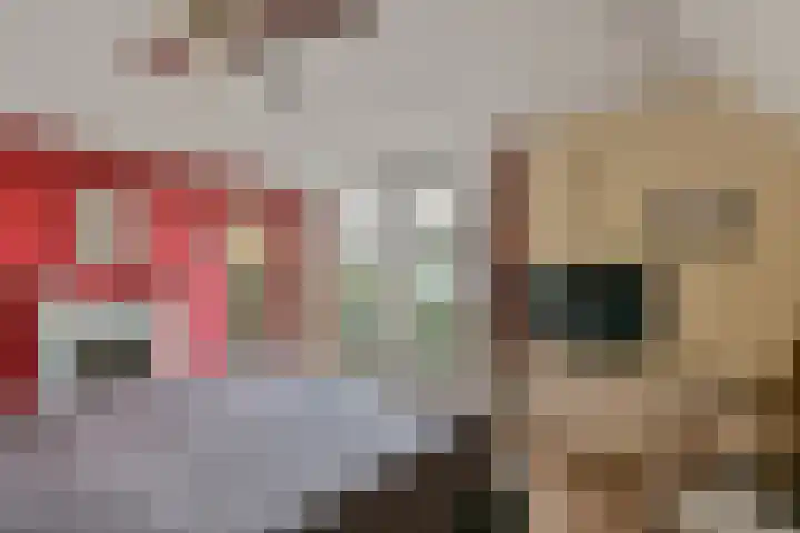 Carole 3 Nieuw-Vennep thumbnail 25