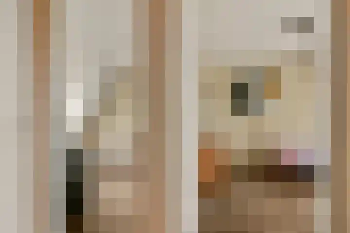 Carole 3 Nieuw-Vennep thumbnail 28