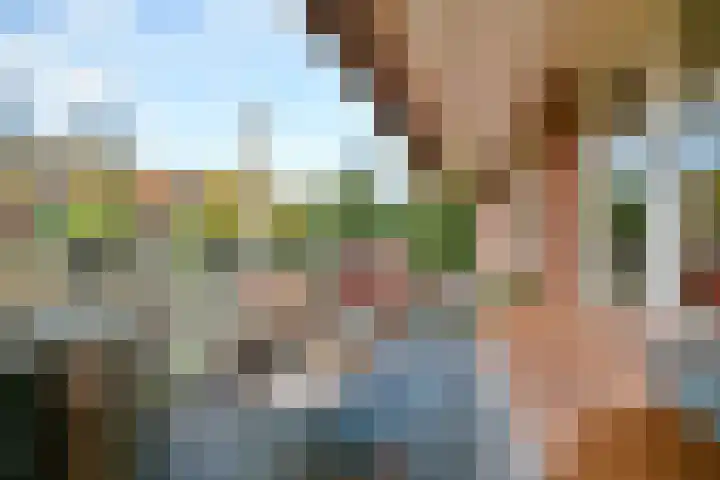 Carole 3 Nieuw-Vennep thumbnail 33