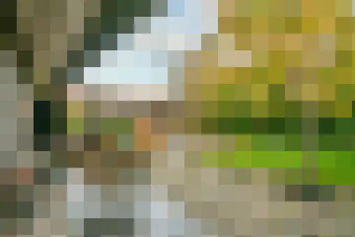 Carole 3 Nieuw-Vennep thumbnail 37