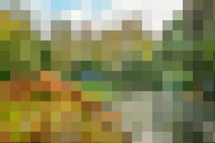 Carole 3 Nieuw-Vennep thumbnail 38