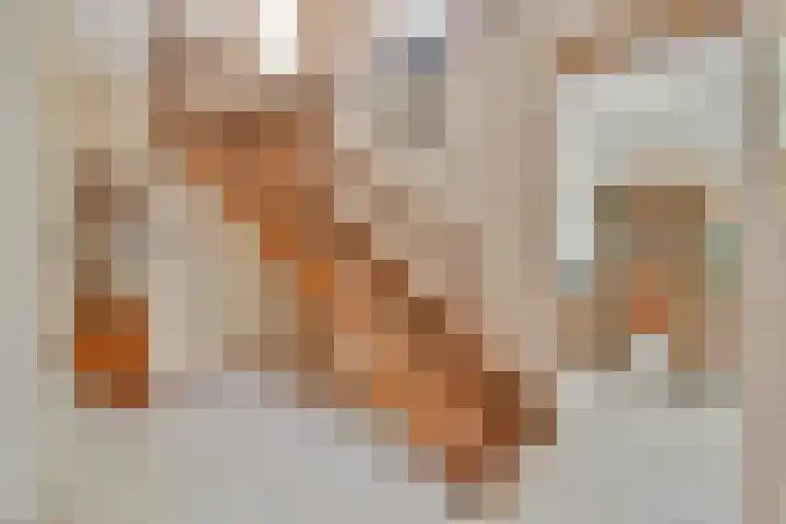 Carole 3 Nieuw-Vennep thumbnail 4