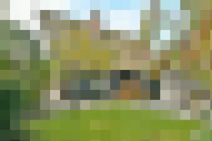 Carole 3 Nieuw-Vennep thumbnail 40