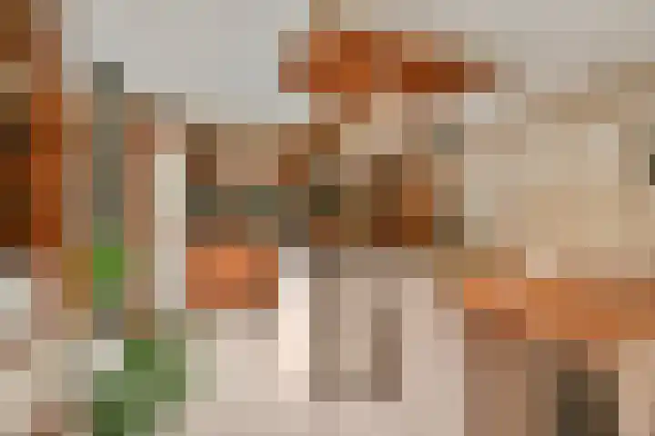 Carole 3 Nieuw-Vennep thumbnail 7