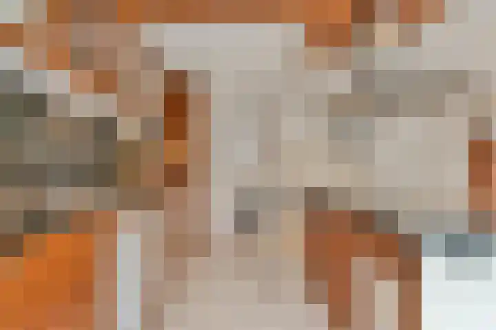 Carole 3 Nieuw-Vennep thumbnail 8