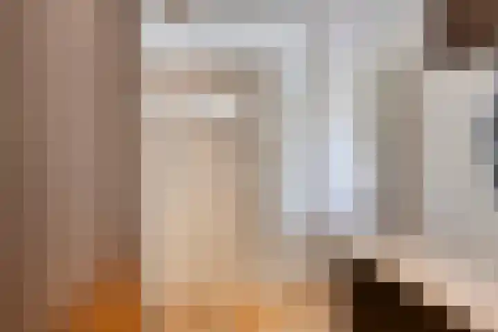 Carolieweg 2 Zevenhuizen thumbnail 18