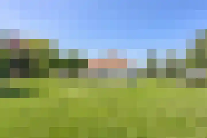 Carolieweg 2 Zevenhuizen thumbnail 29