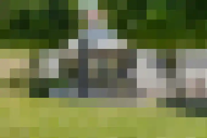 Carolieweg 2 Zevenhuizen thumbnail 30