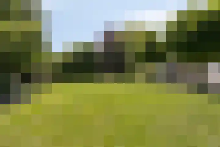 Carolieweg 2 Zevenhuizen thumbnail 31