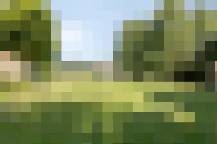 Carolieweg 2 Zevenhuizen thumbnail 33