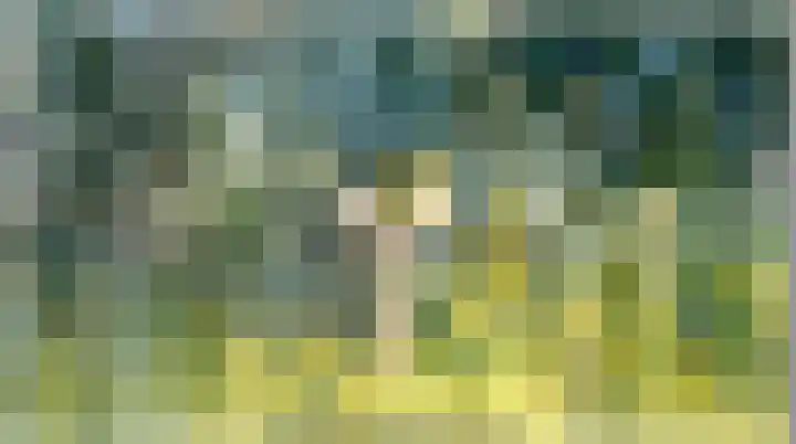Carolieweg 2 Zevenhuizen thumbnail 34