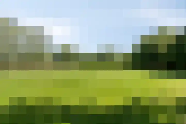 Carolieweg 2 Zevenhuizen thumbnail 35