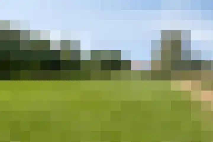 Carolieweg 2 Zevenhuizen thumbnail 36