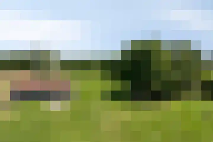 Carolieweg 2 Zevenhuizen thumbnail 37