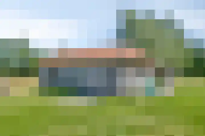 Carolieweg 2 Zevenhuizen thumbnail 38