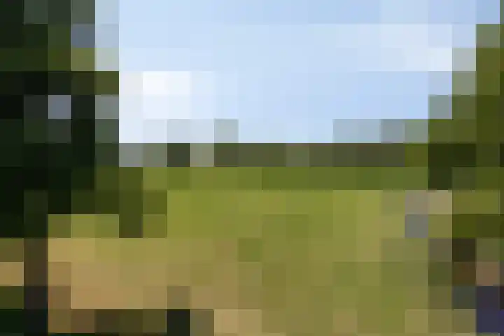 Carolieweg 2 Zevenhuizen thumbnail 39