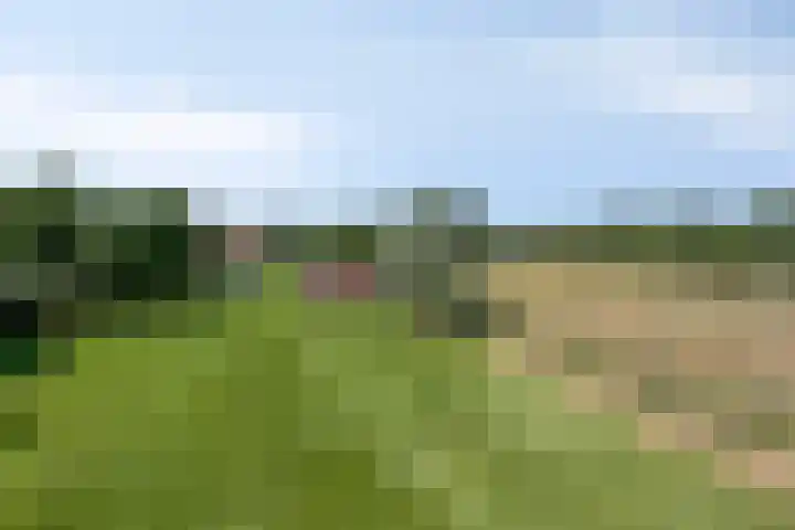 Carolieweg 2 Zevenhuizen thumbnail 40