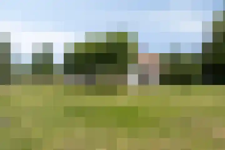 Carolieweg 2 Zevenhuizen thumbnail 41