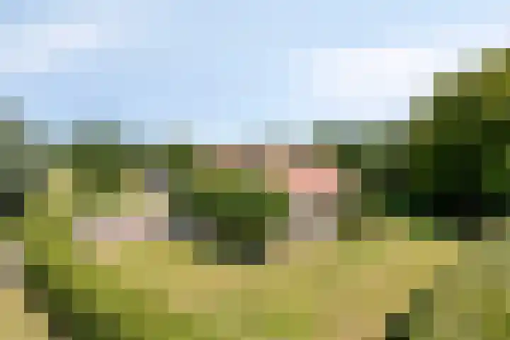 Carolieweg 2 Zevenhuizen thumbnail 42
