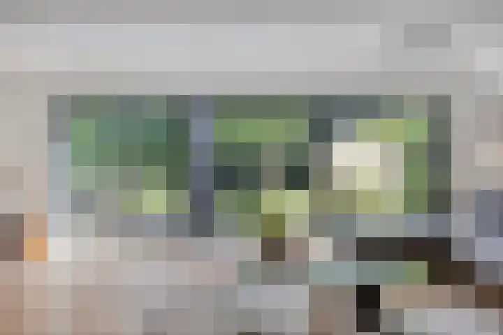 Carolieweg 2 Zevenhuizen thumbnail 7