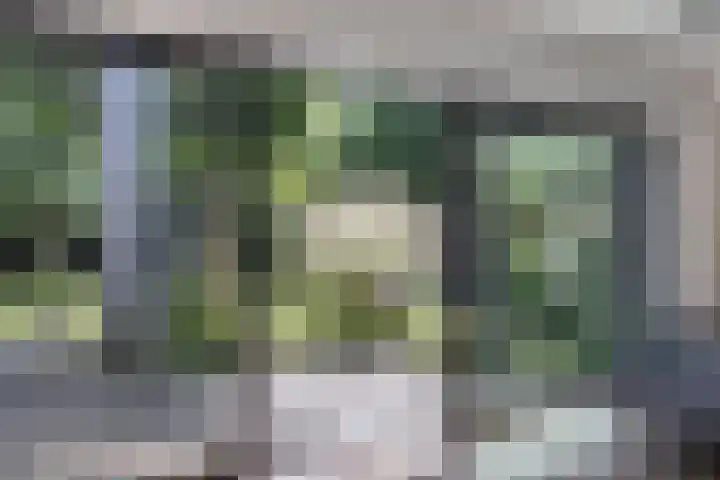 Carolieweg 2 Zevenhuizen thumbnail 8