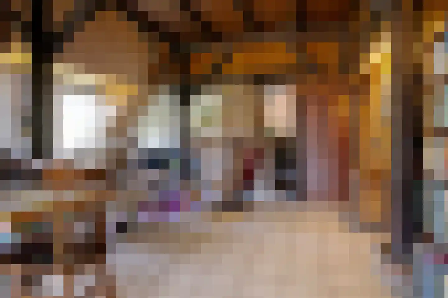 Carolieweg 4 Tolbert thumbnail 13