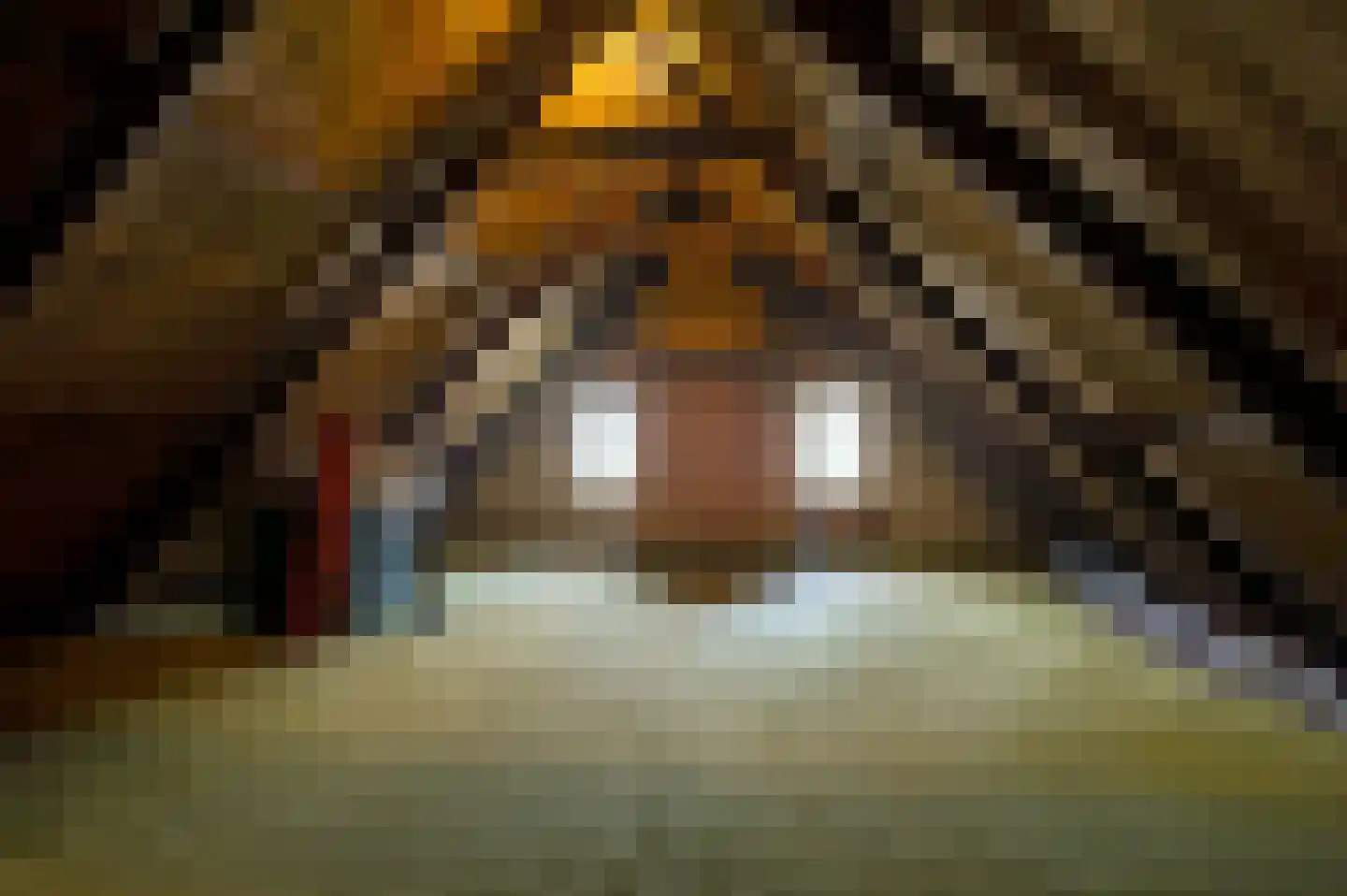 Carolieweg 4 Tolbert thumbnail 27