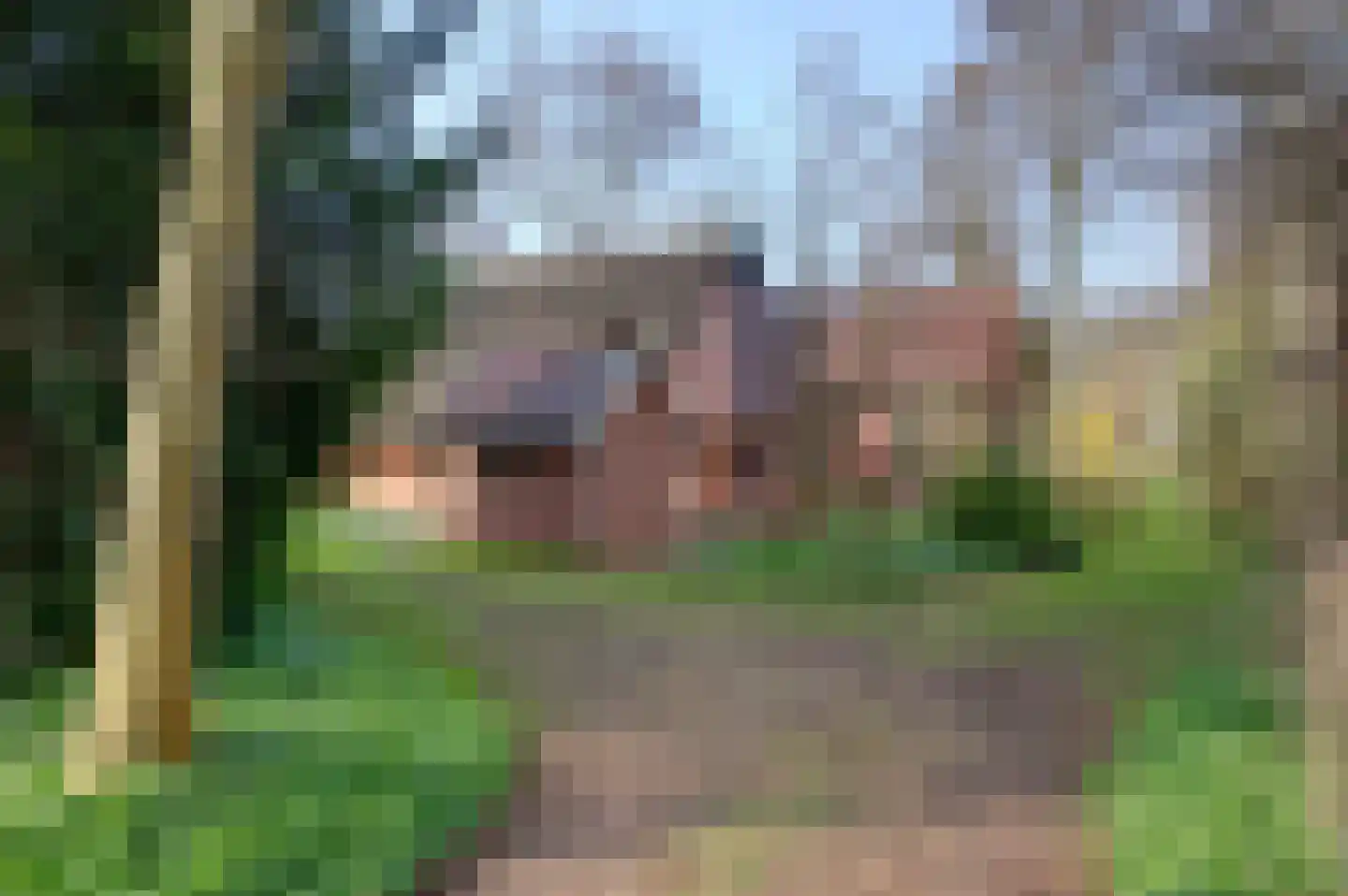 Carolieweg 4 Tolbert thumbnail 28
