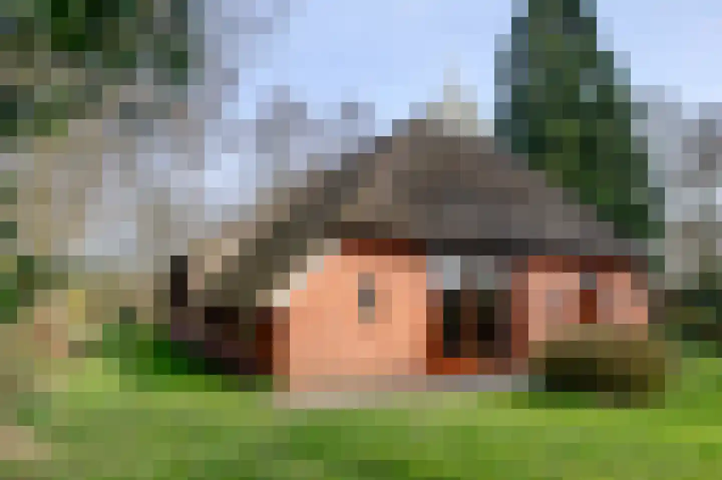 Carolieweg 4 Tolbert thumbnail 29