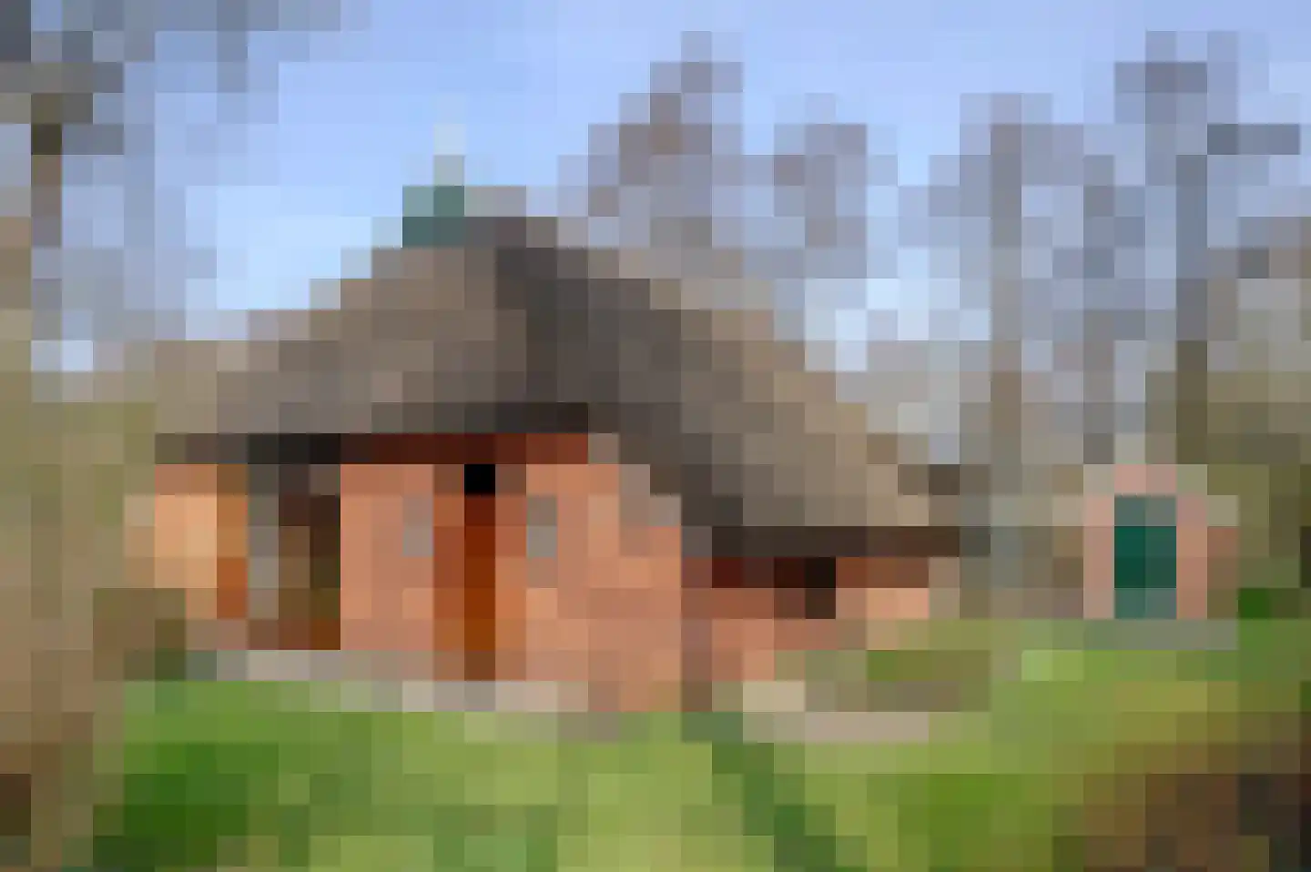 Carolieweg 4 Tolbert thumbnail 31