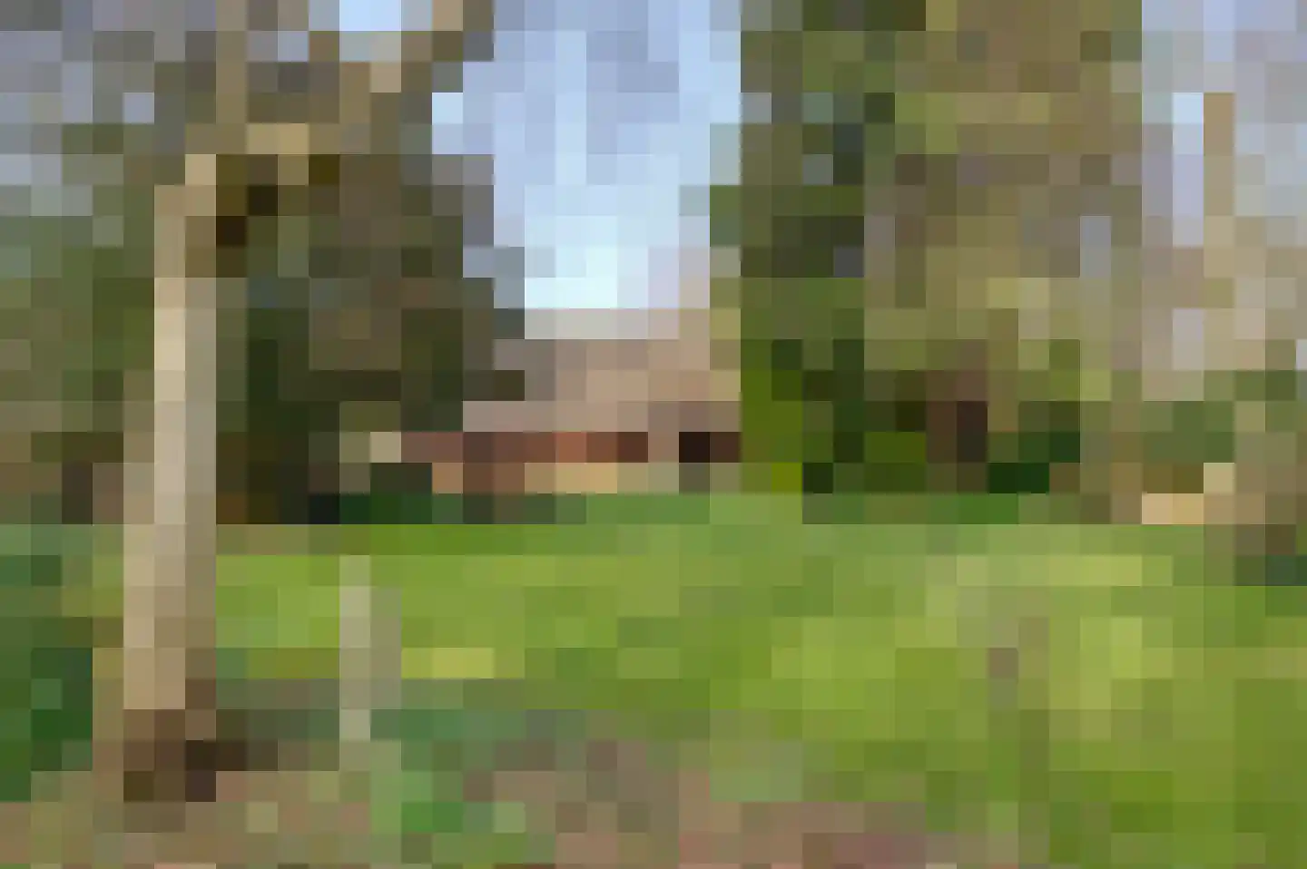 Carolieweg 4 Tolbert thumbnail 34