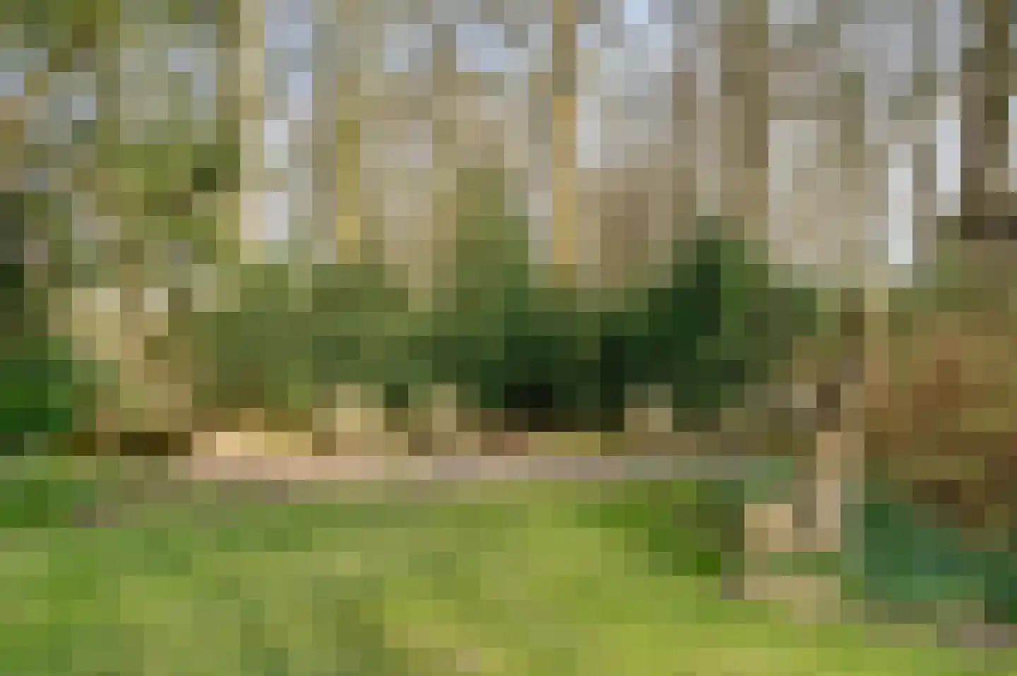Carolieweg 4 Tolbert thumbnail 36