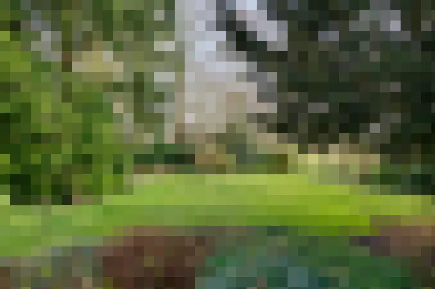 Carolieweg 4 Tolbert thumbnail 37