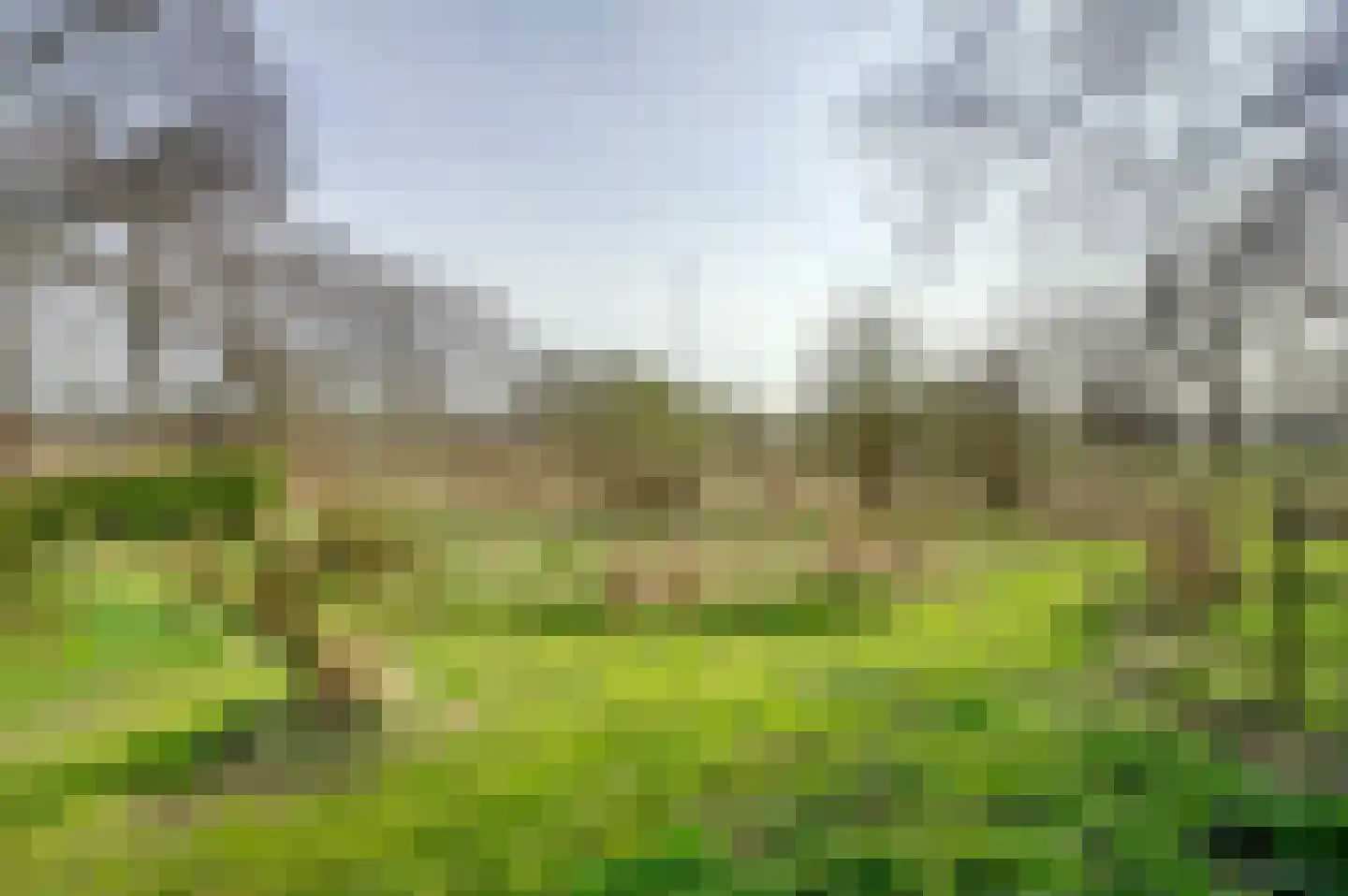 Carolieweg 4 Tolbert thumbnail 38