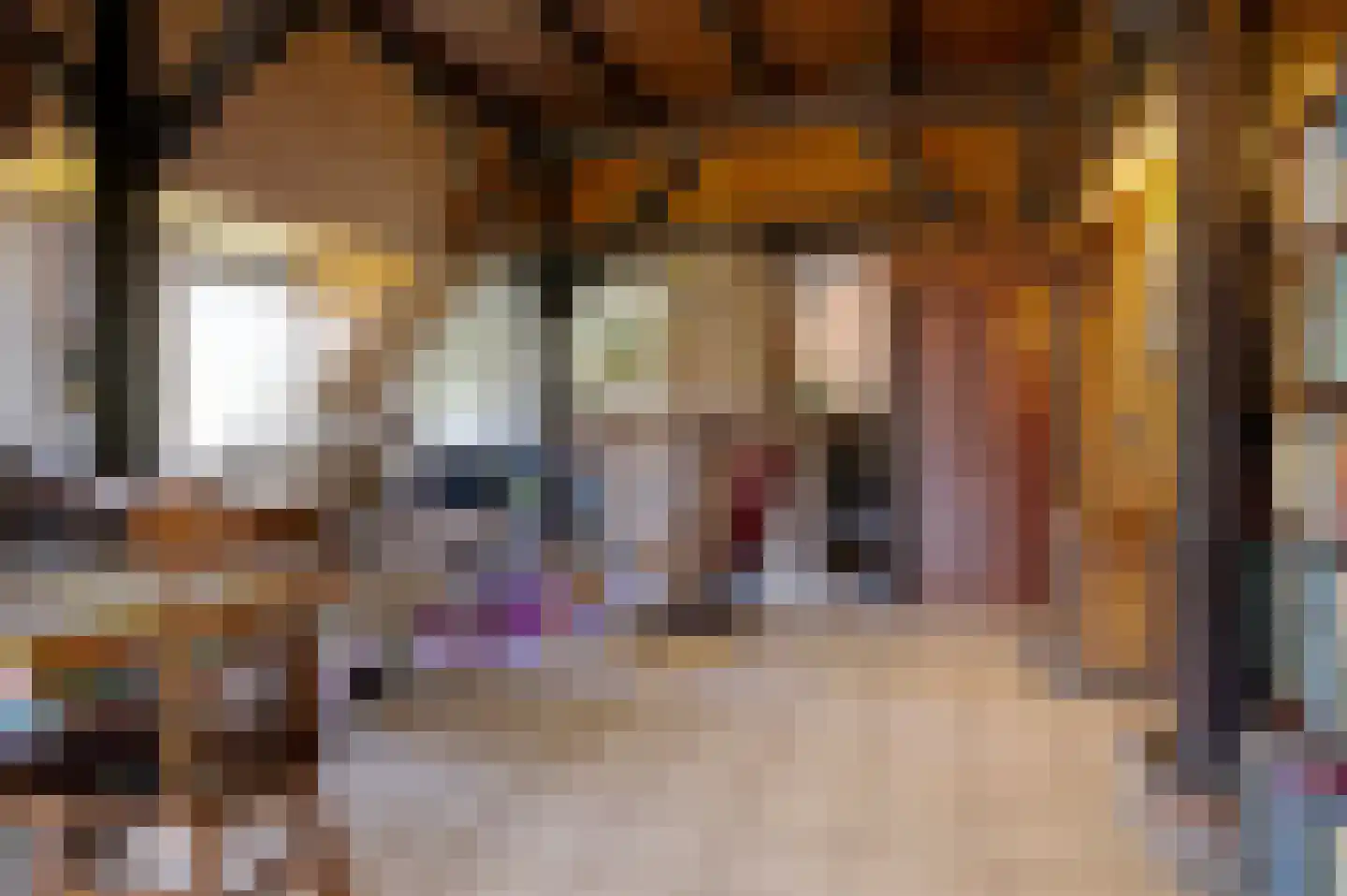 Carolieweg 4 Tolbert thumbnail 4