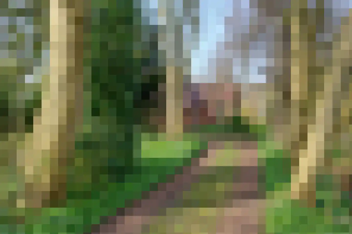 Carolieweg 4 Tolbert thumbnail 8