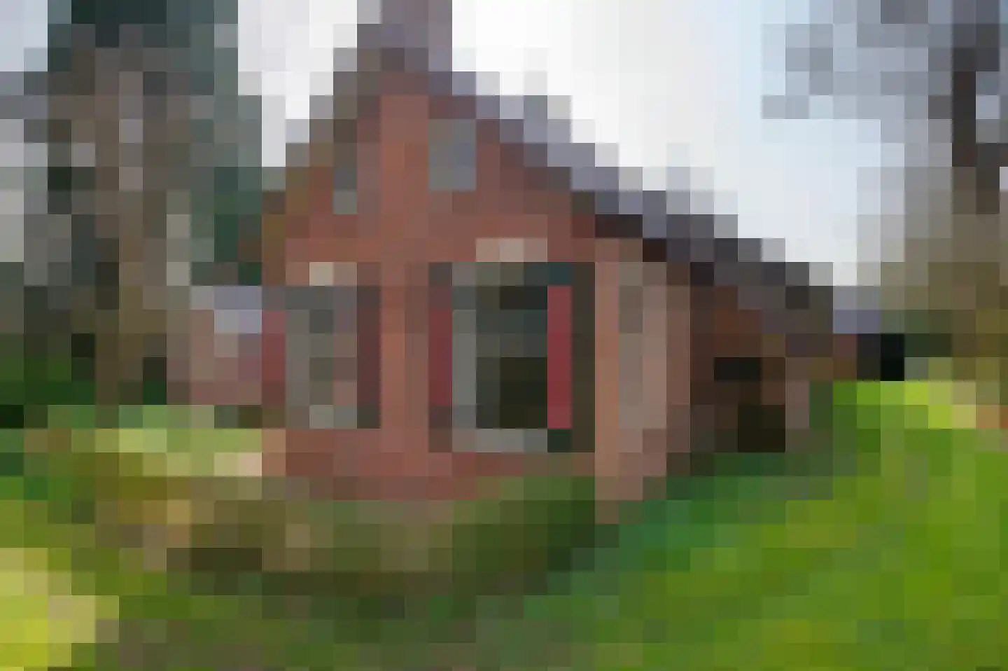 Carolieweg 4 Tolbert thumbnail 9