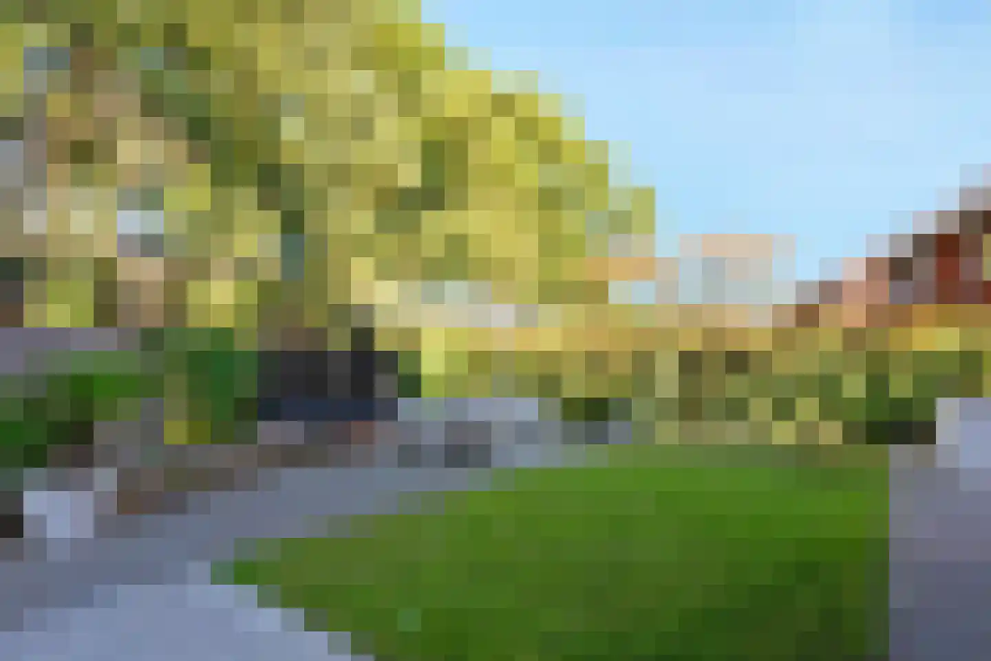 Carolinaberg 9 Amersfoort thumbnail 12