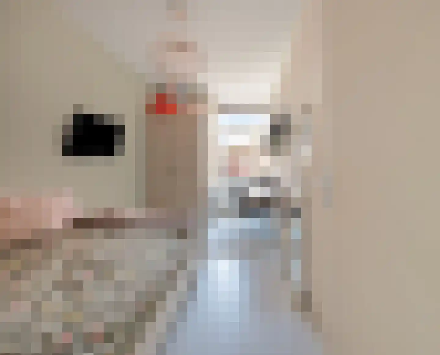 Carolinaberg 9 Amersfoort thumbnail 30