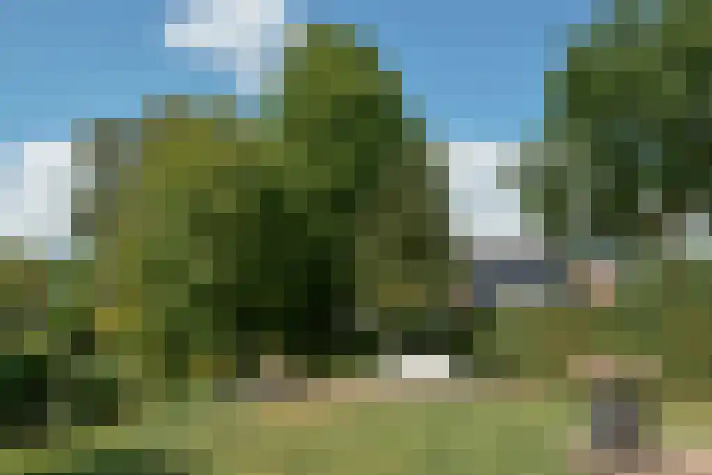 Carolinalaan 4 Oranjewoud thumbnail 10