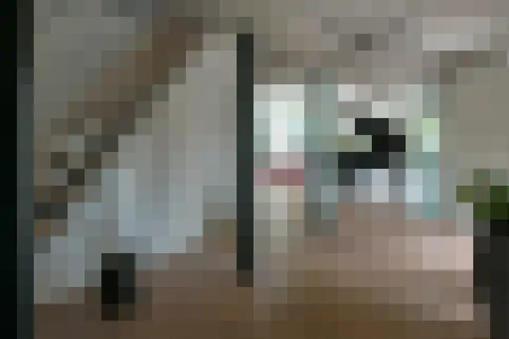 Carolinalaan 4 Oranjewoud thumbnail 17