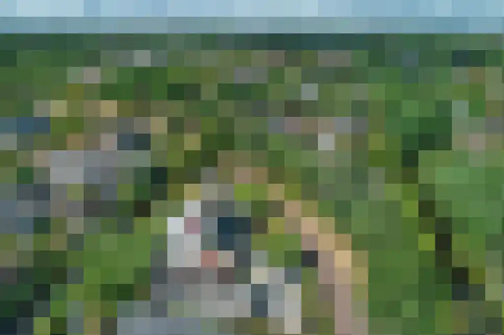 Carolinalaan 4 Oranjewoud thumbnail 43