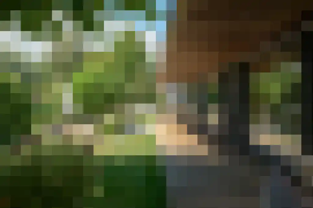 Carolinalaan 4 Oranjewoud thumbnail 5